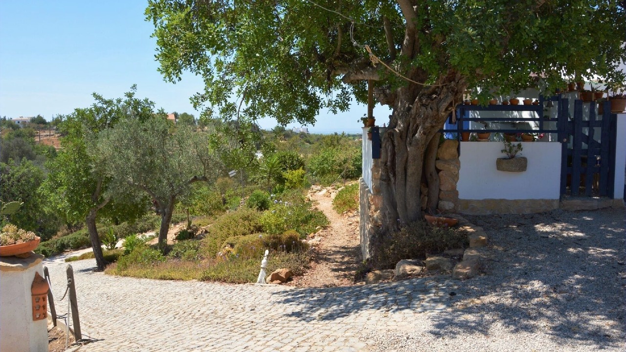 Photo of Outdoor in Quelfes