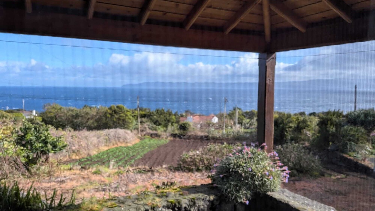 Photo of Outdoor in Cais do Pico