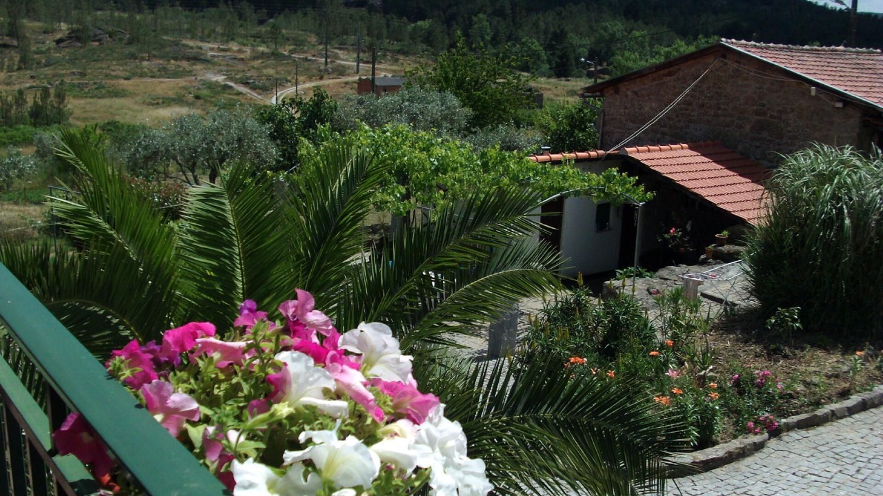 Photo of Outdoor in Matanca