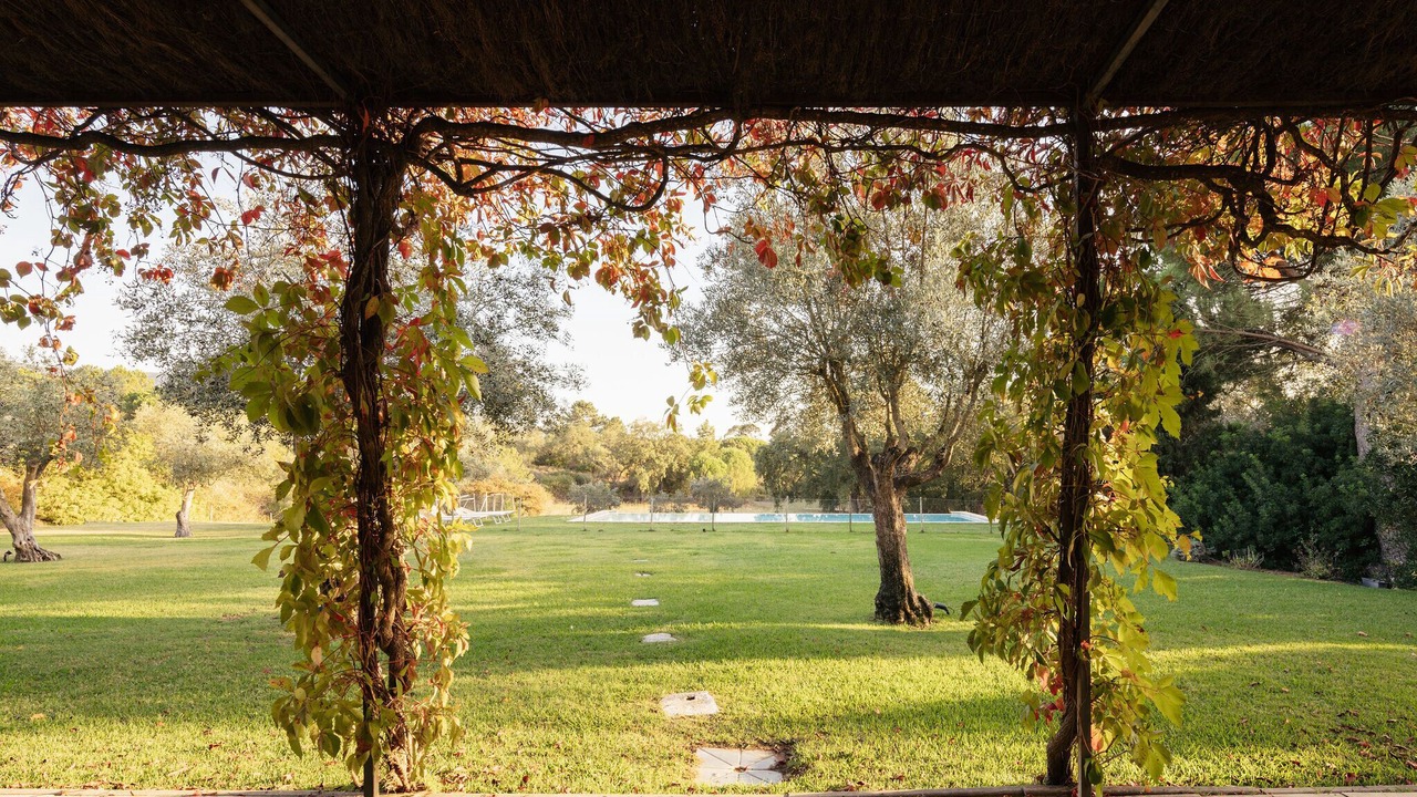 Photo of Outdoor in Castelo