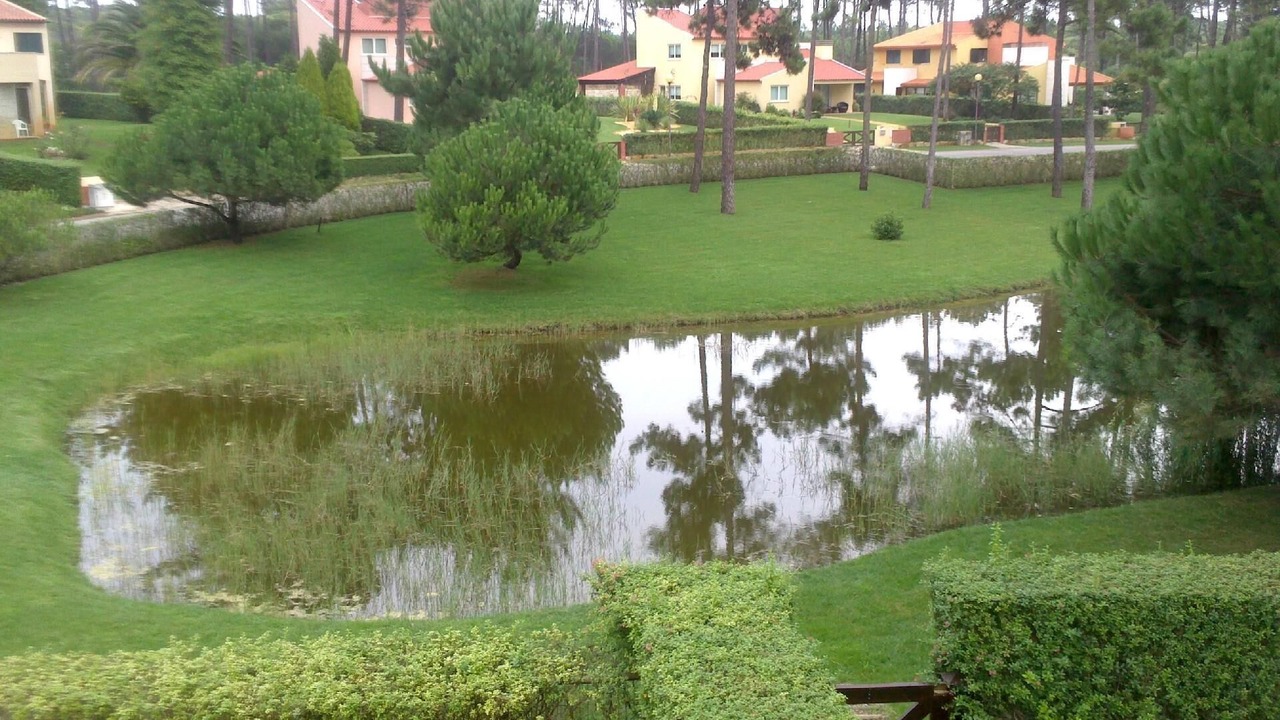 Photo of Outdoor in Praia de Mira