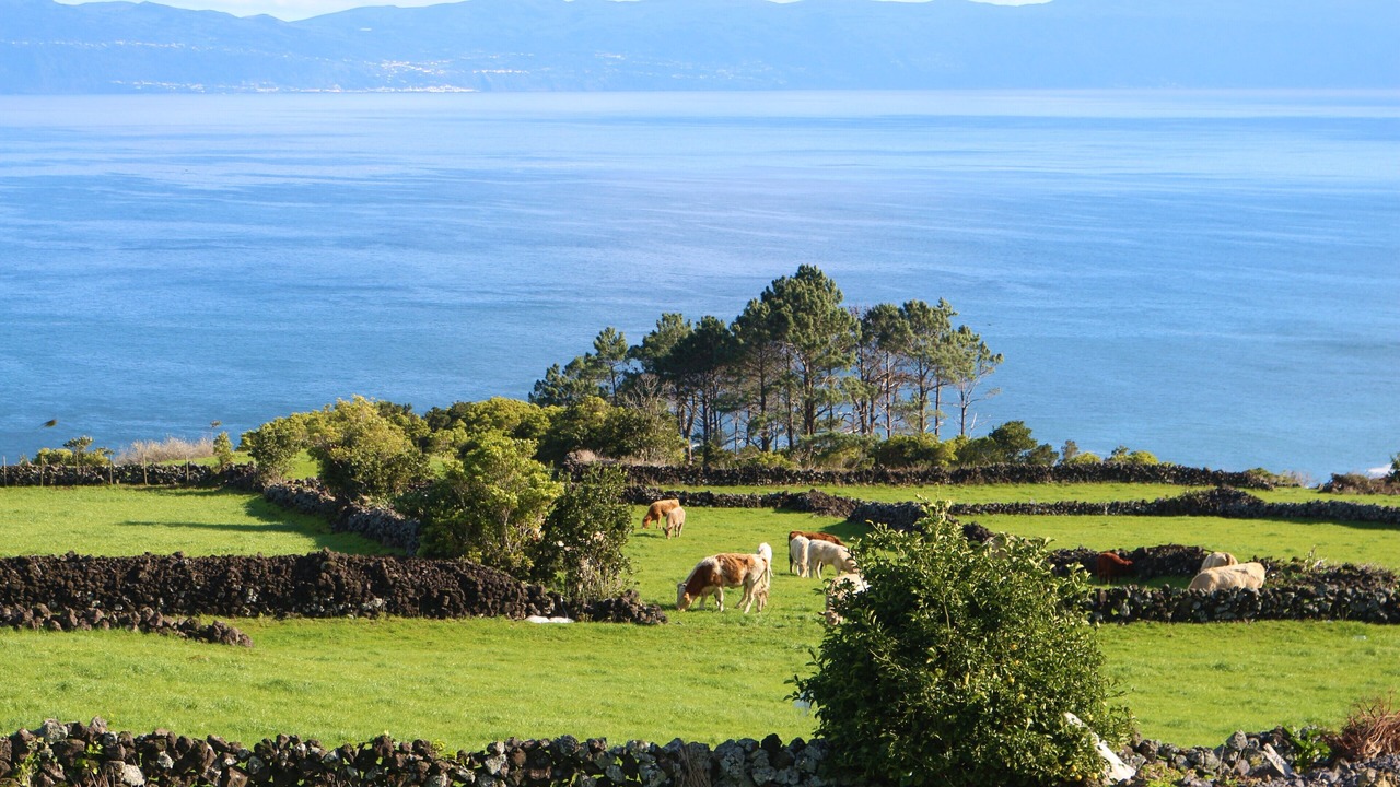 Photo of Outdoor in Prainha