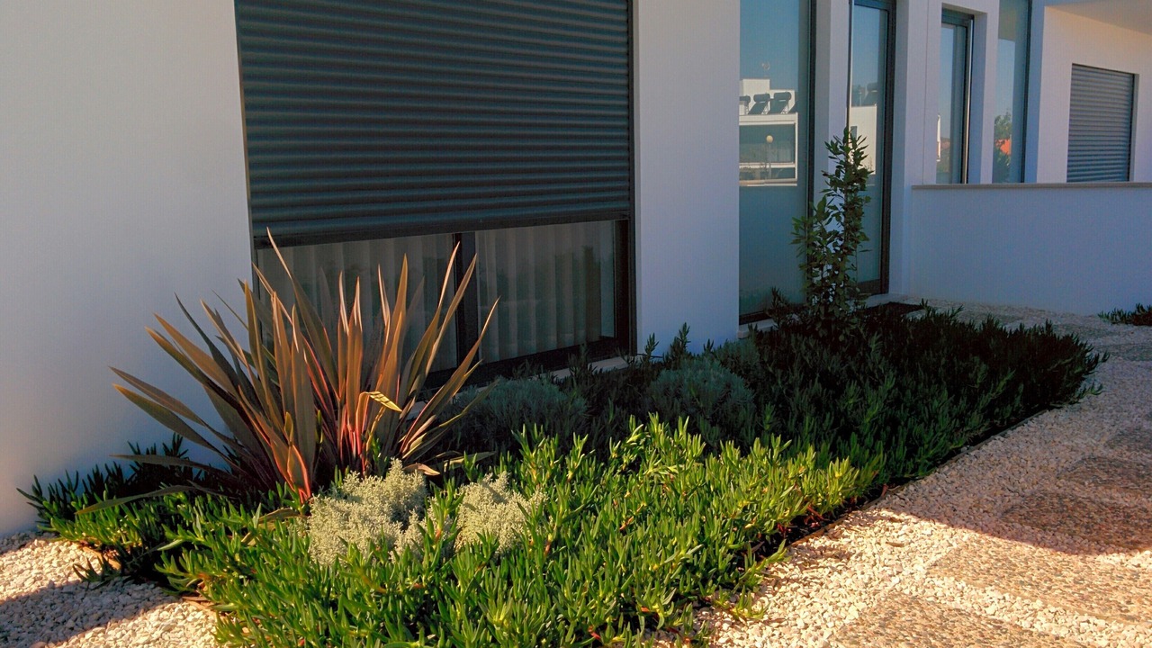 Photo of Outdoor in Salir do Porto