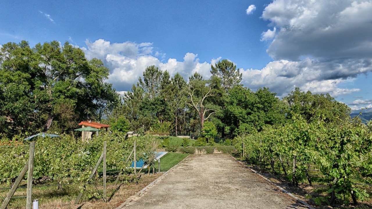 Photo of Others in Molares