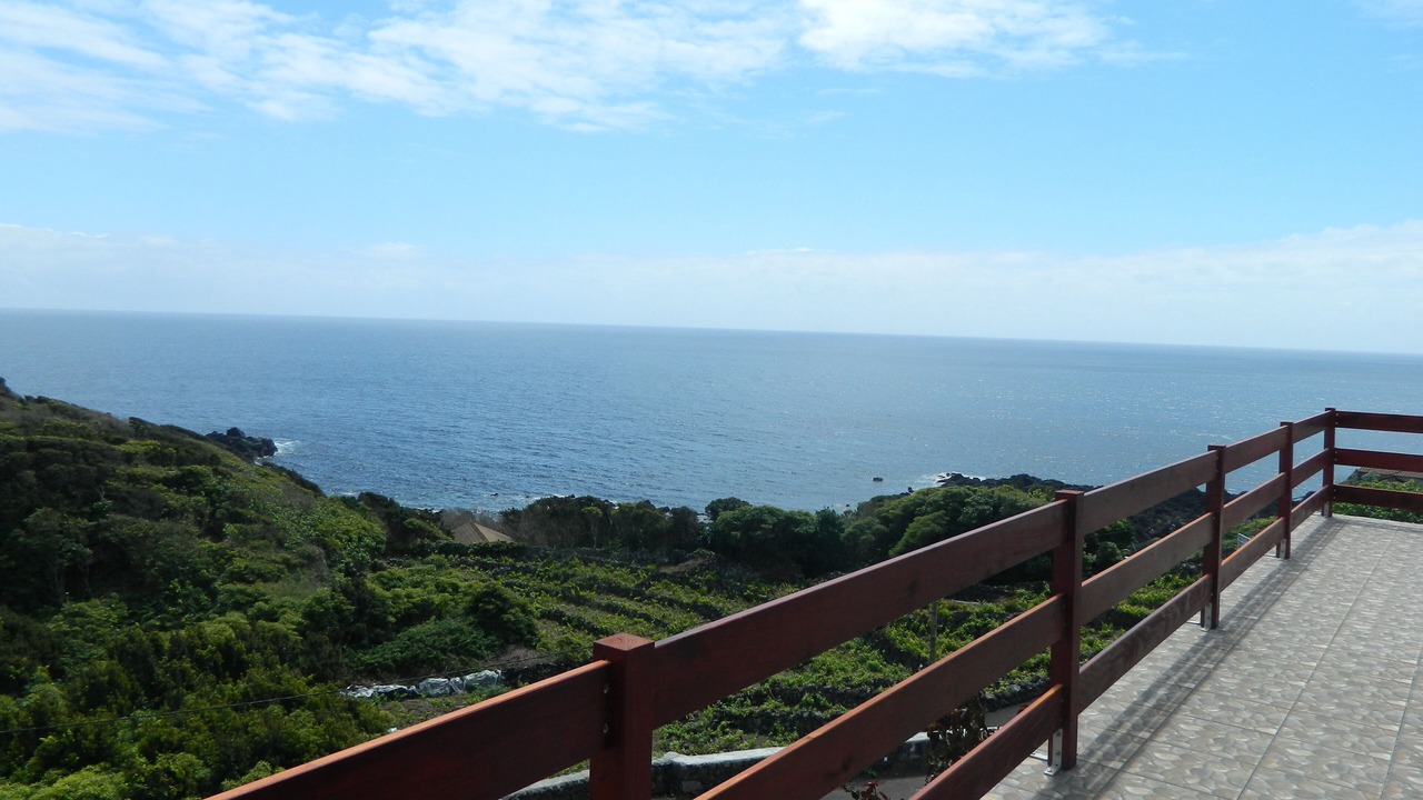 Photo of Others in Lajes do Pico
