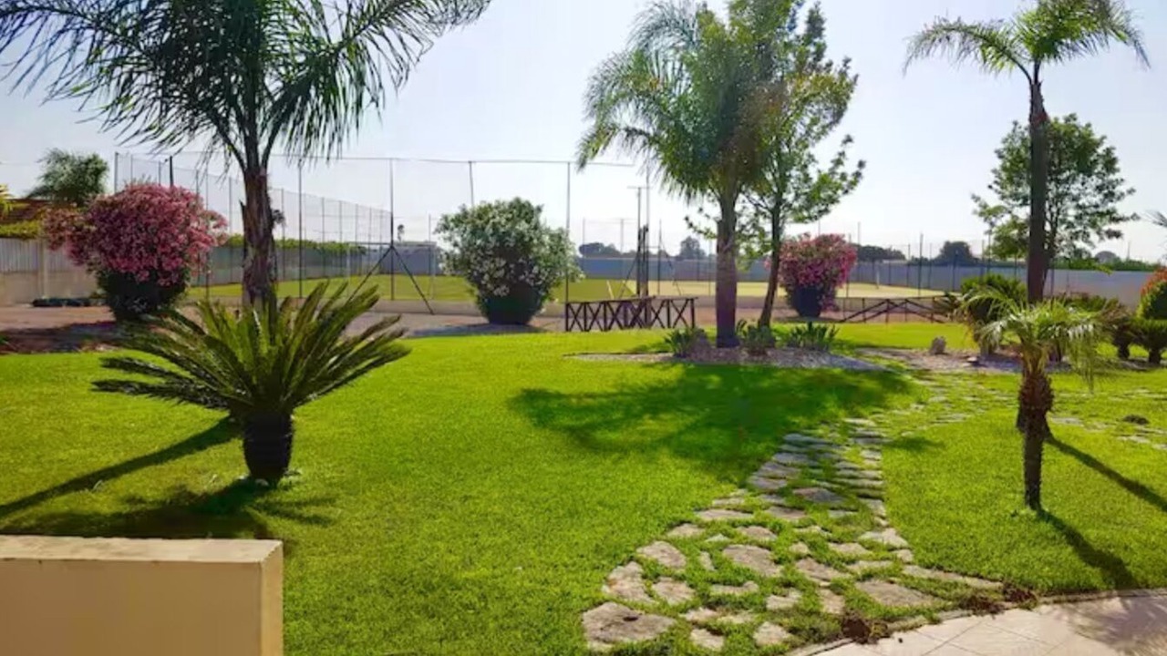Photo of Outdoor in Palmela