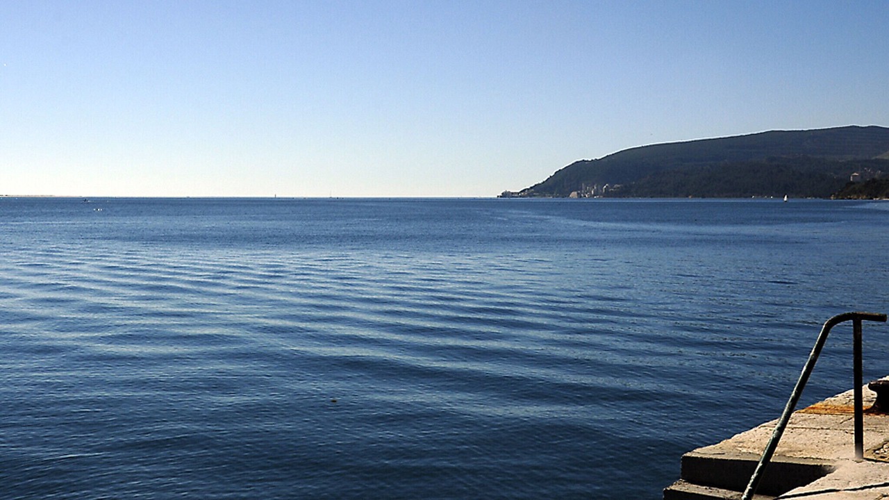 Photo of Others in Setubal