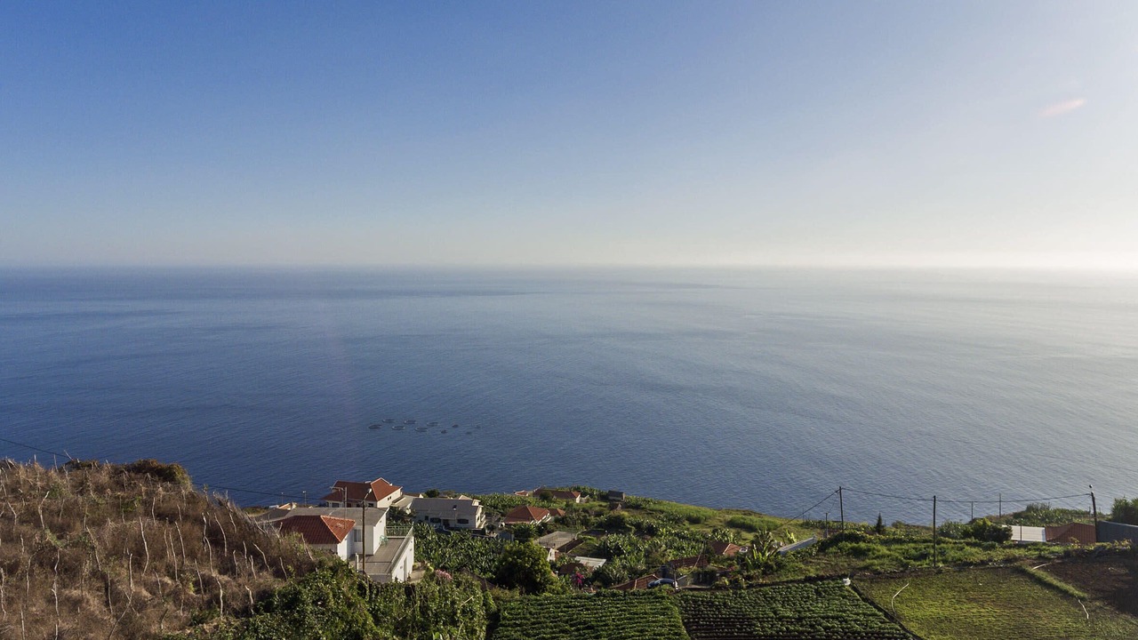 Photo of Others in Arco da Calheta