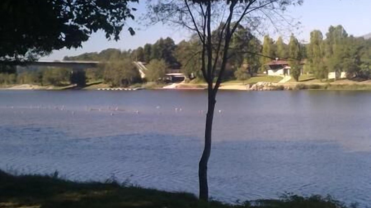 Photo of Others in Ponte de Lima