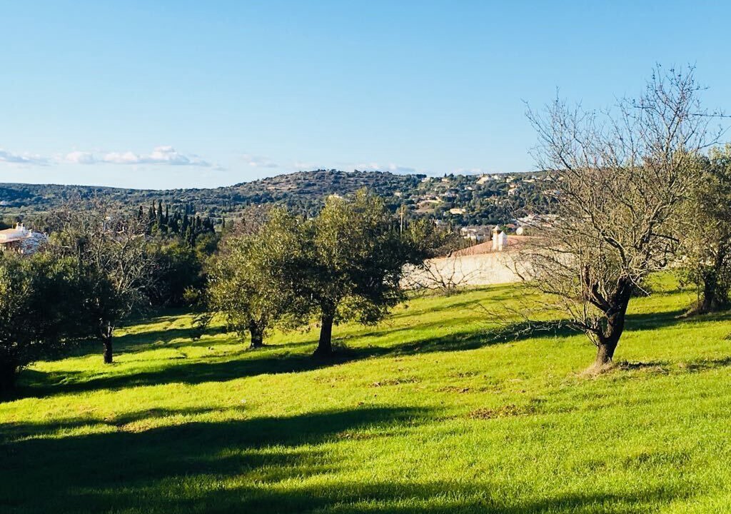 Photo of Others in Sao Bras de Alportel