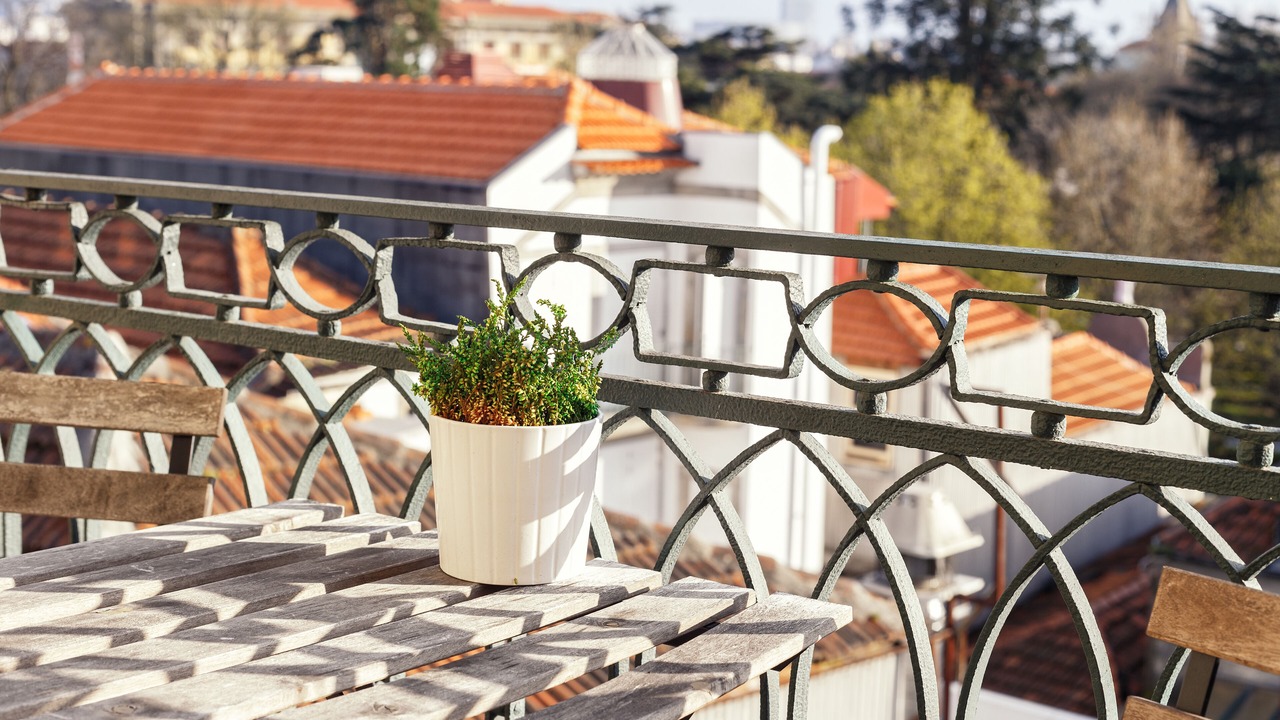 Photo of Outdoor in Uniao de Freguesias do Centro
