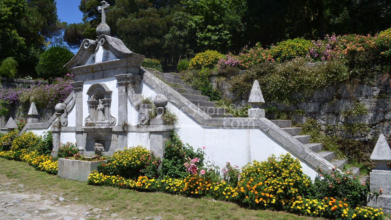 Photo of Outdoor in Anha