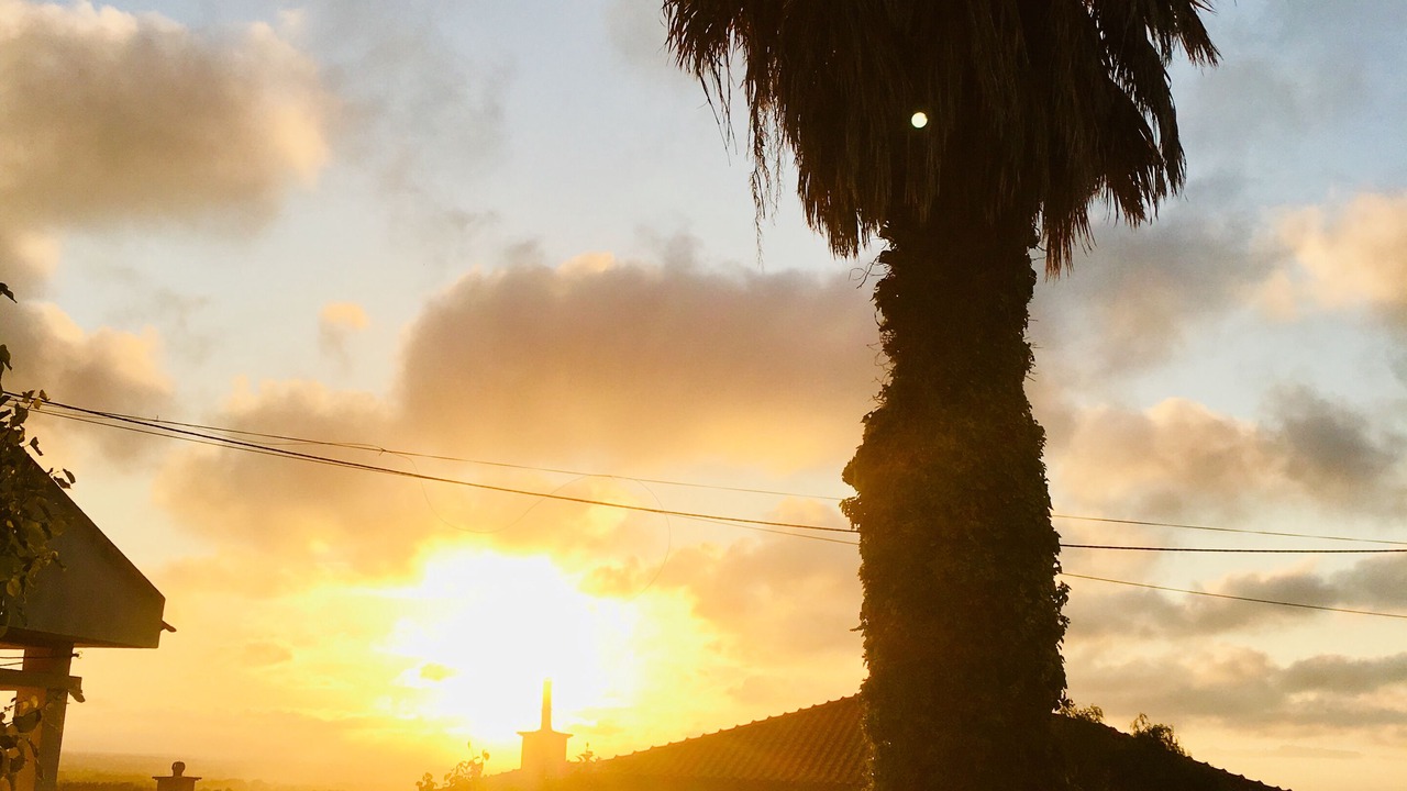 Photo of Others in Setubal
