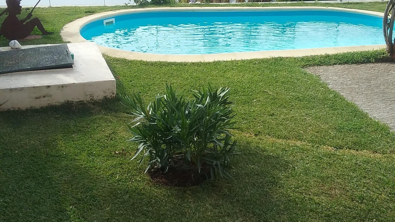 Photo of Outdoor in Garajau