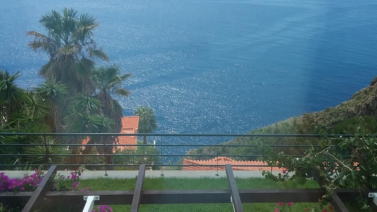 Photo of Outdoor in Garajau