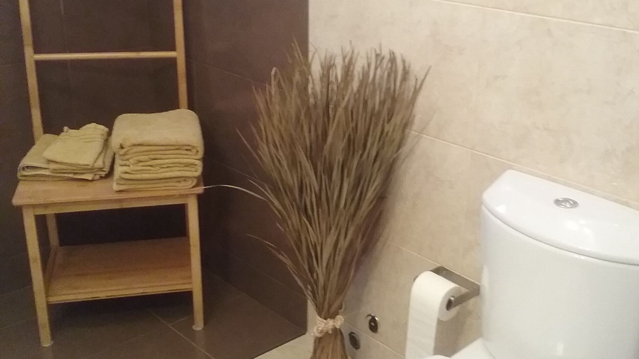 Photo of Bathroom in Garajau