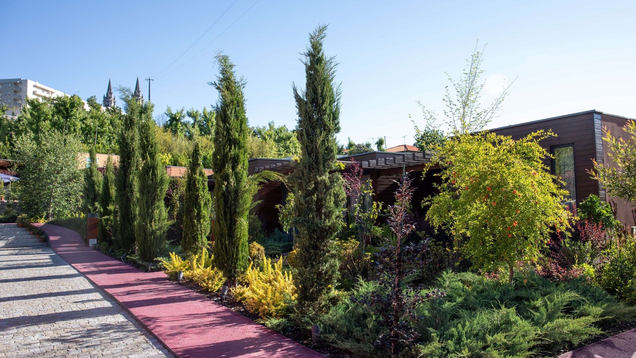 Photo of Outdoor in Guimaraes