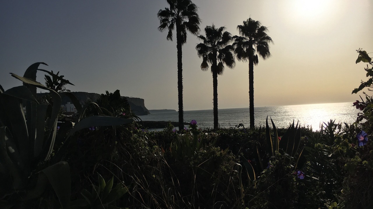 Photo of Others in Praia da Luz