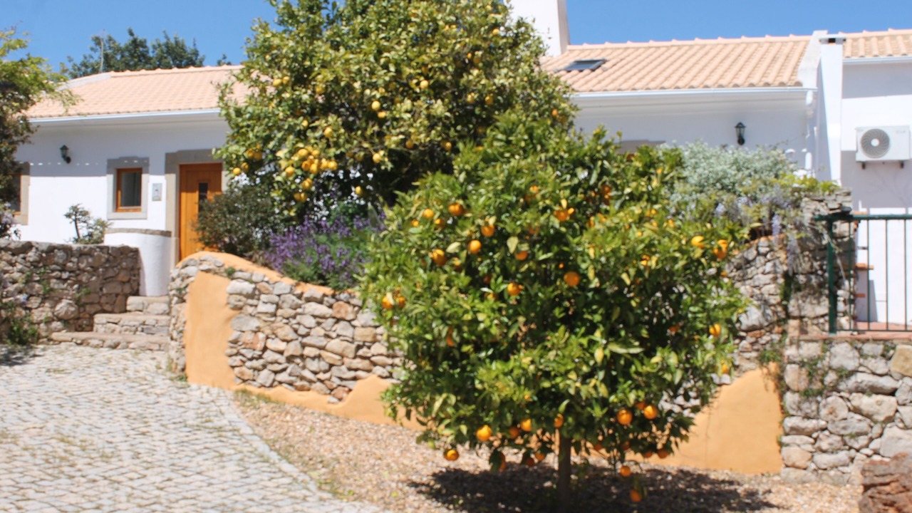 Photo of Outdoor in Sao Bras de Alportel