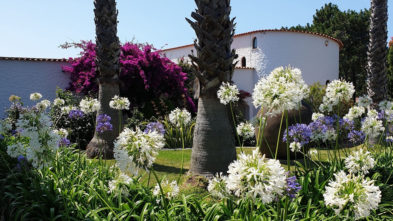 Photo of Outdoor in Praia del Rei