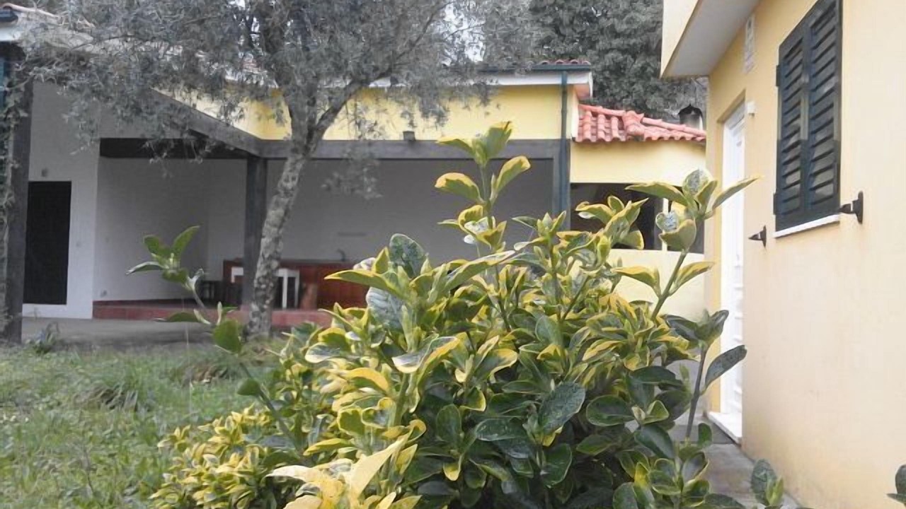 Photo of Outdoor in Amarante