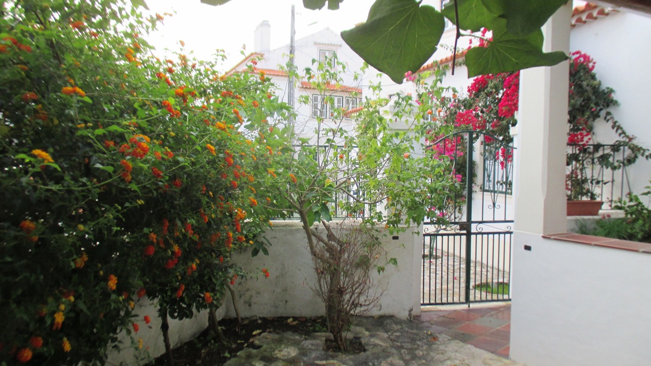Photo of Outdoor in Sao Martinho do Porto