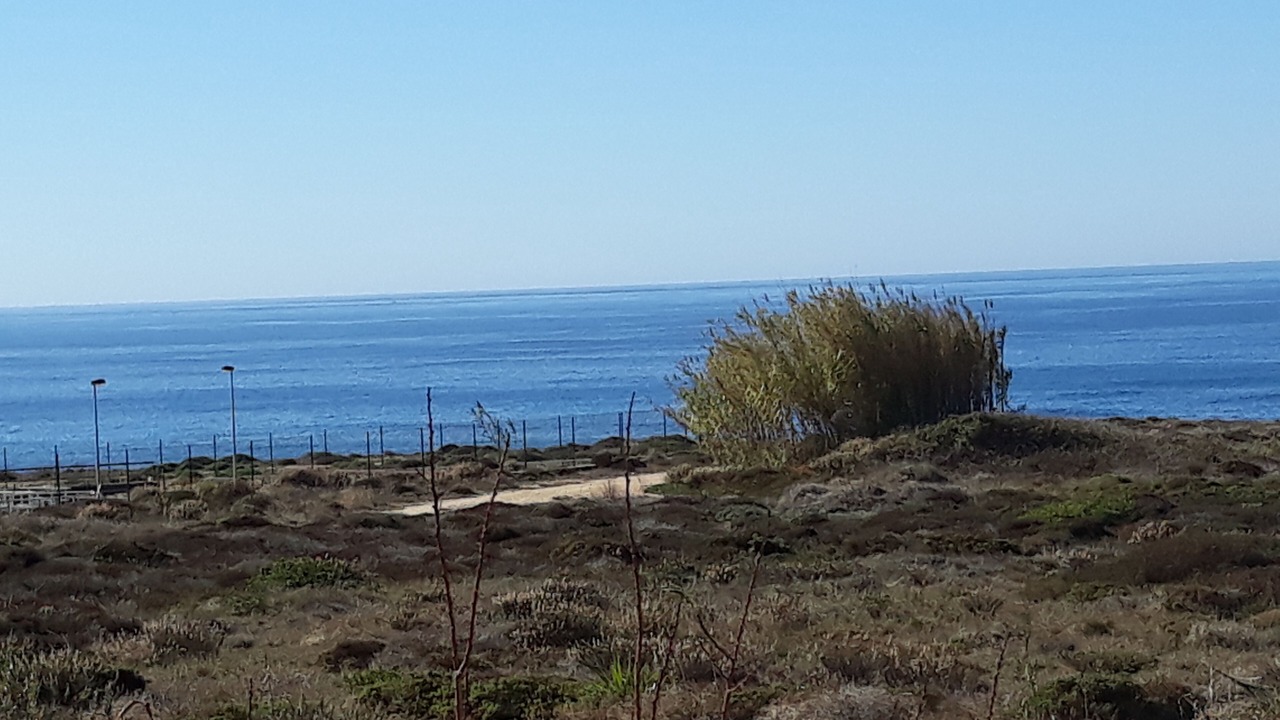 Photo of Others in Vila Nova de Milfontes