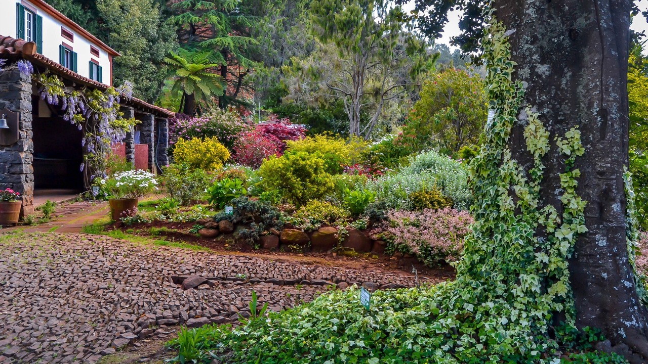 Photo of Outdoor in Camacha