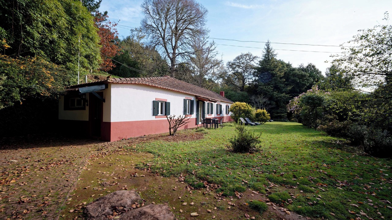 Photo of Outdoor in Camacha