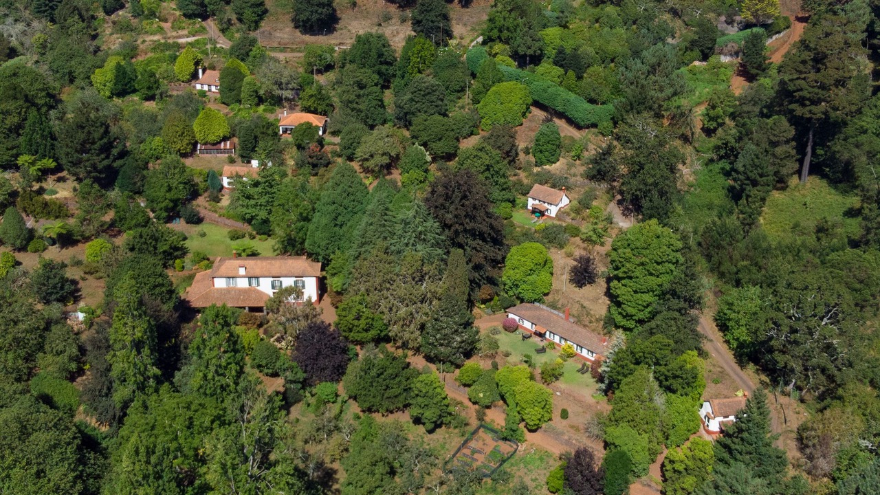 Photo of Outdoor in Camacha
