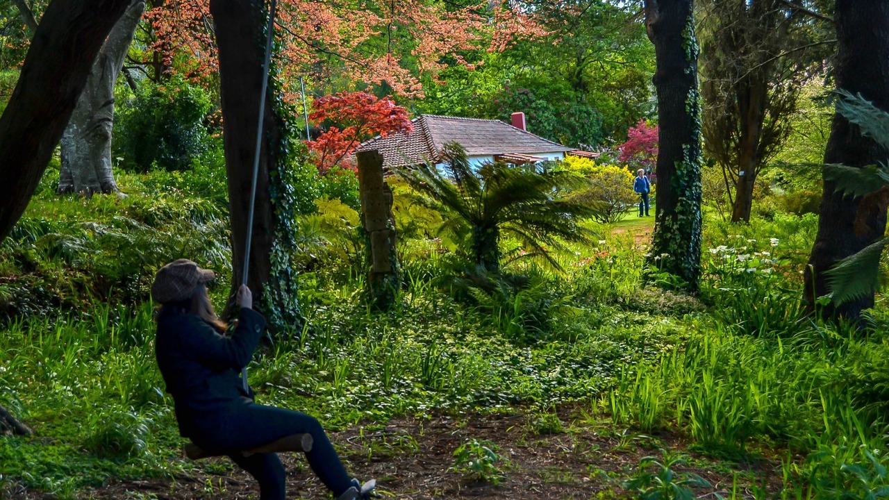 Photo of Outdoor in Camacha