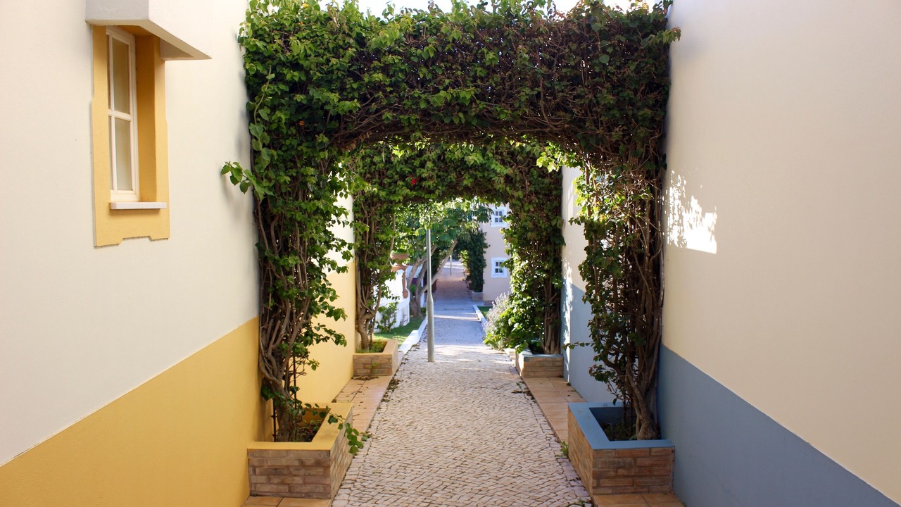 Photo of Outdoor in Albufeira