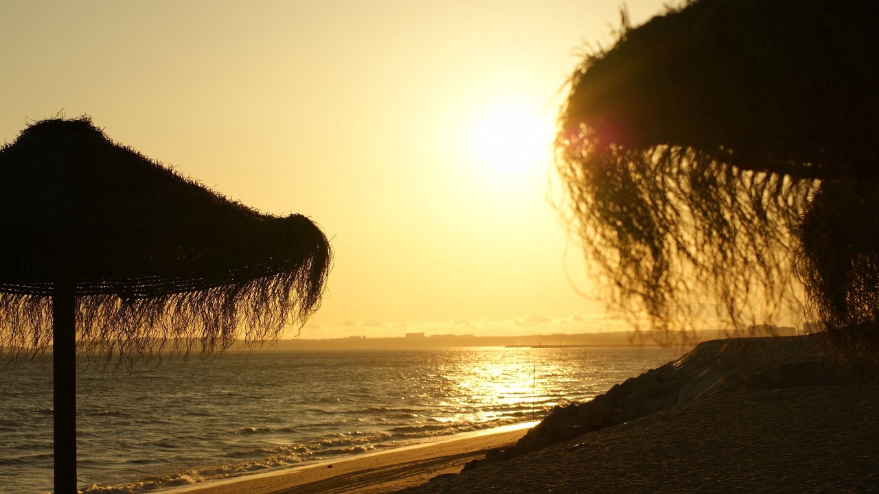Photo of Others in Vale do Lobo
