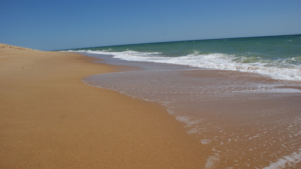 Photo of Others in Vale do Lobo