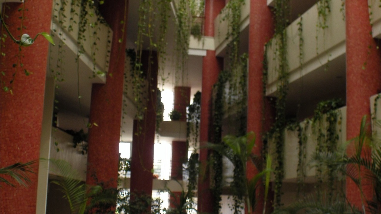 Photo of Outdoor in Darque