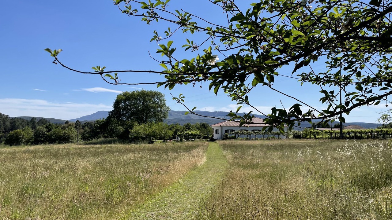 Photo of Outdoor in Paredes de Coura