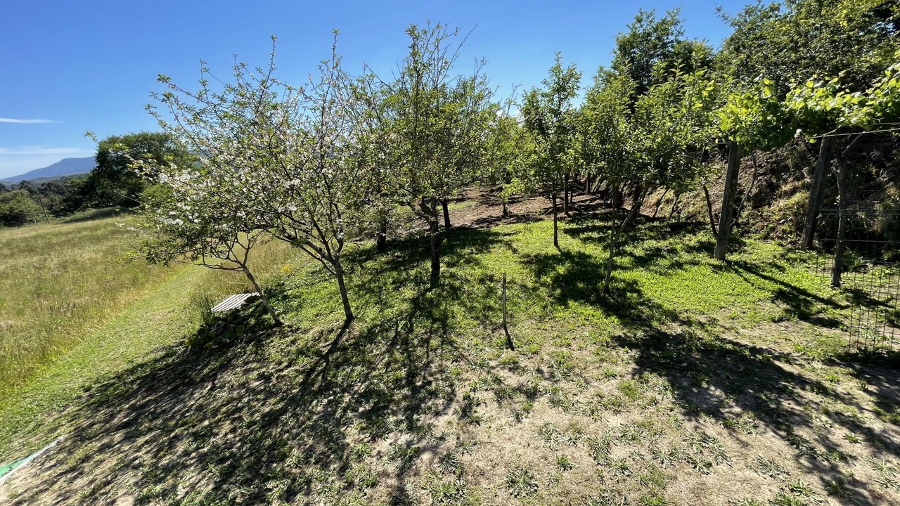 Photo of Outdoor in Paredes de Coura