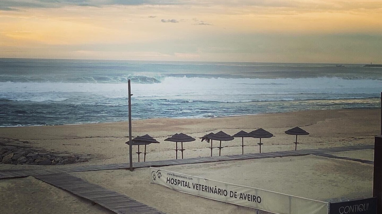 Photo of Others in Costa Nova do Prado
