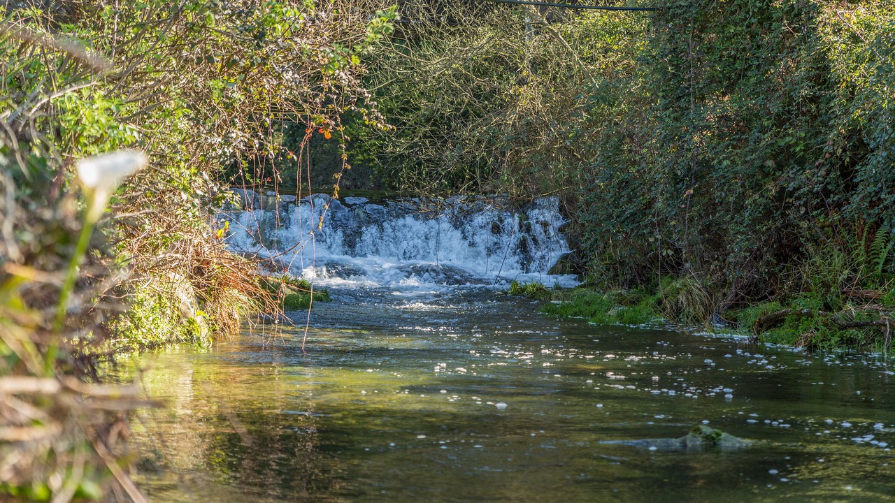 Photo of Outdoor in Afife