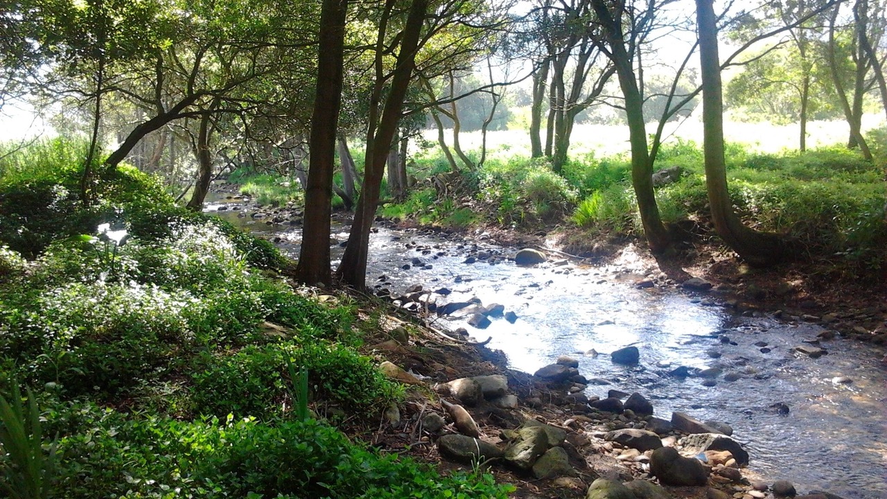 Photo of Outdoor in Afife