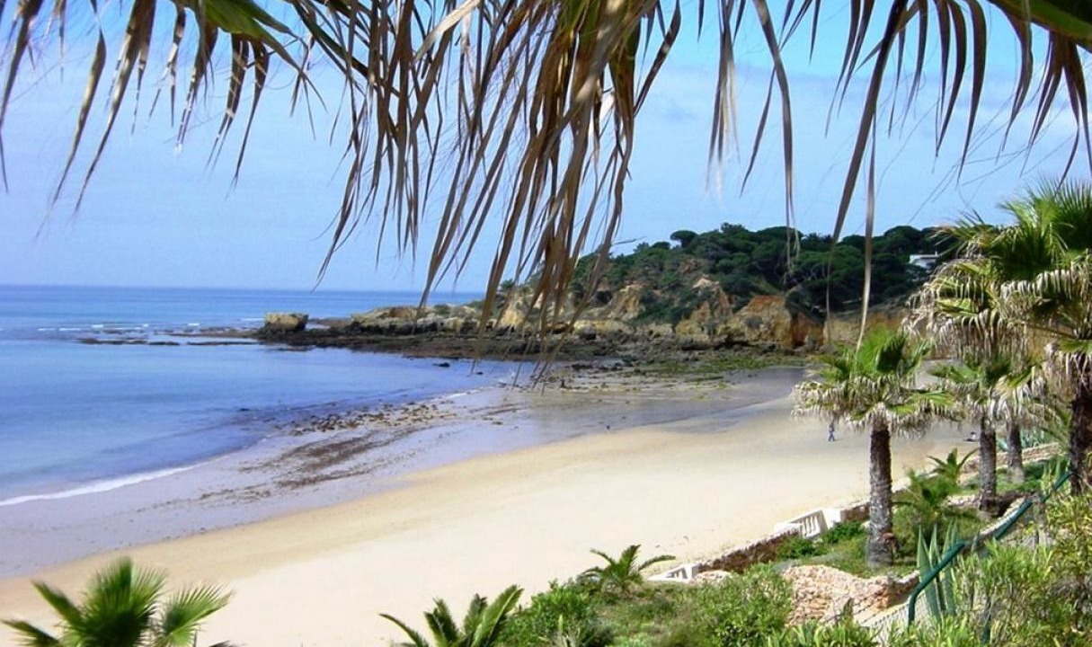 Photo of Others in Branqueira