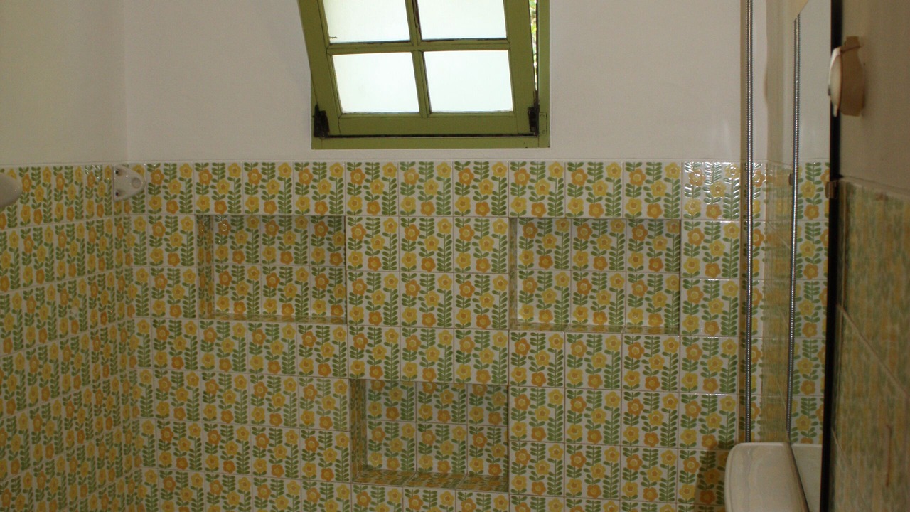Photo of Bathroom in Branqueira