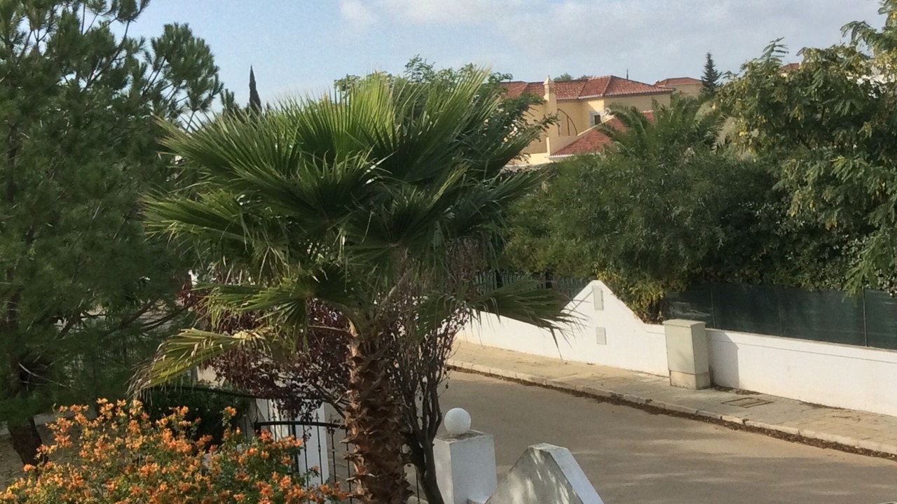 Photo of Outdoor in Olhao