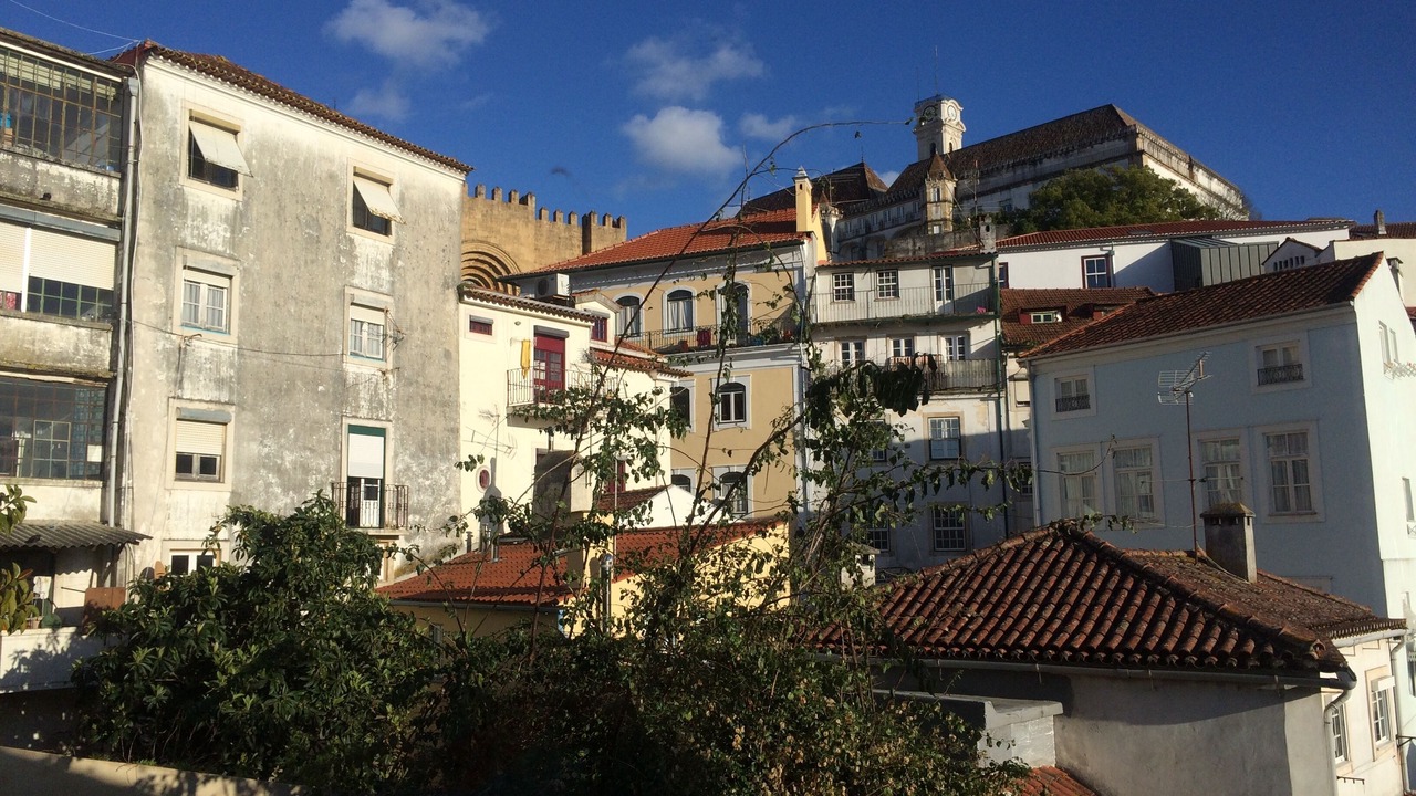 Photo of Outdoor in Coimbra City Centre