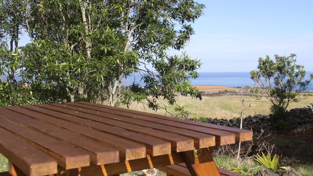 Photo of Outdoor in Ribeira Grande