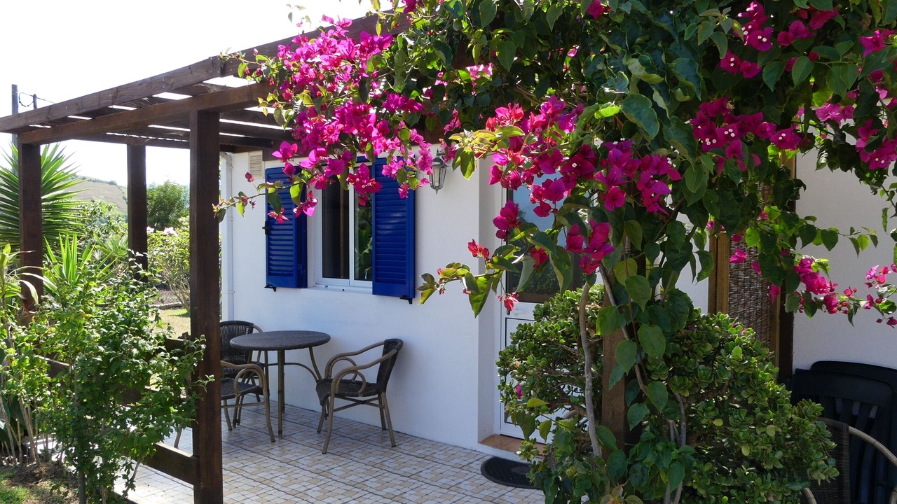 Photo of Outdoor in Ribeira Grande