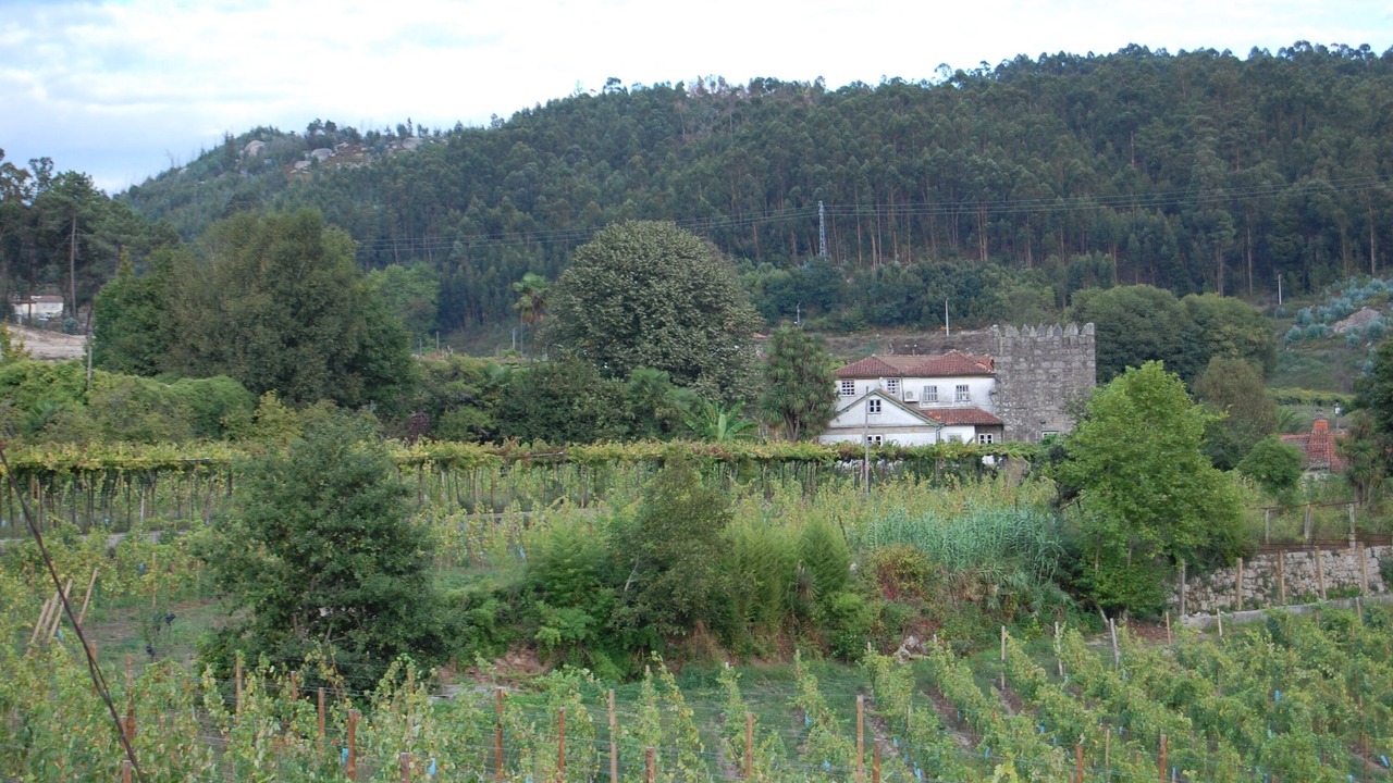 Photo of Outdoor in Mosteiro