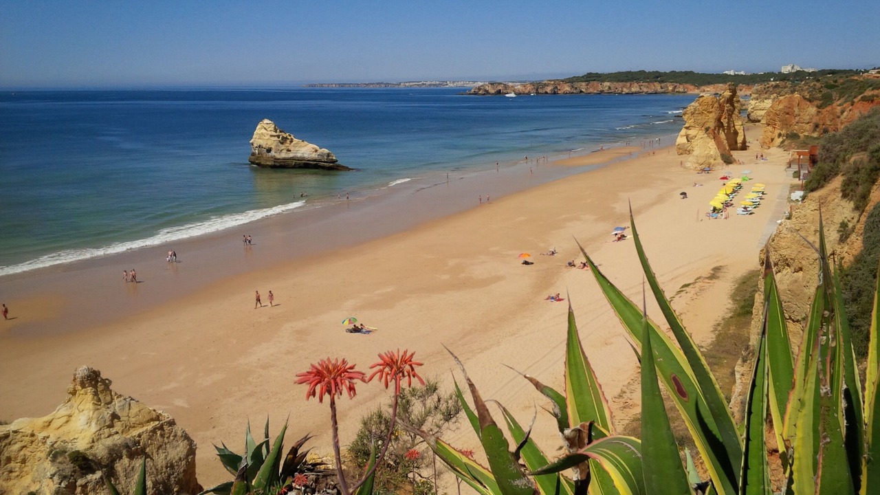 Photo of Others in Praia da Rocha