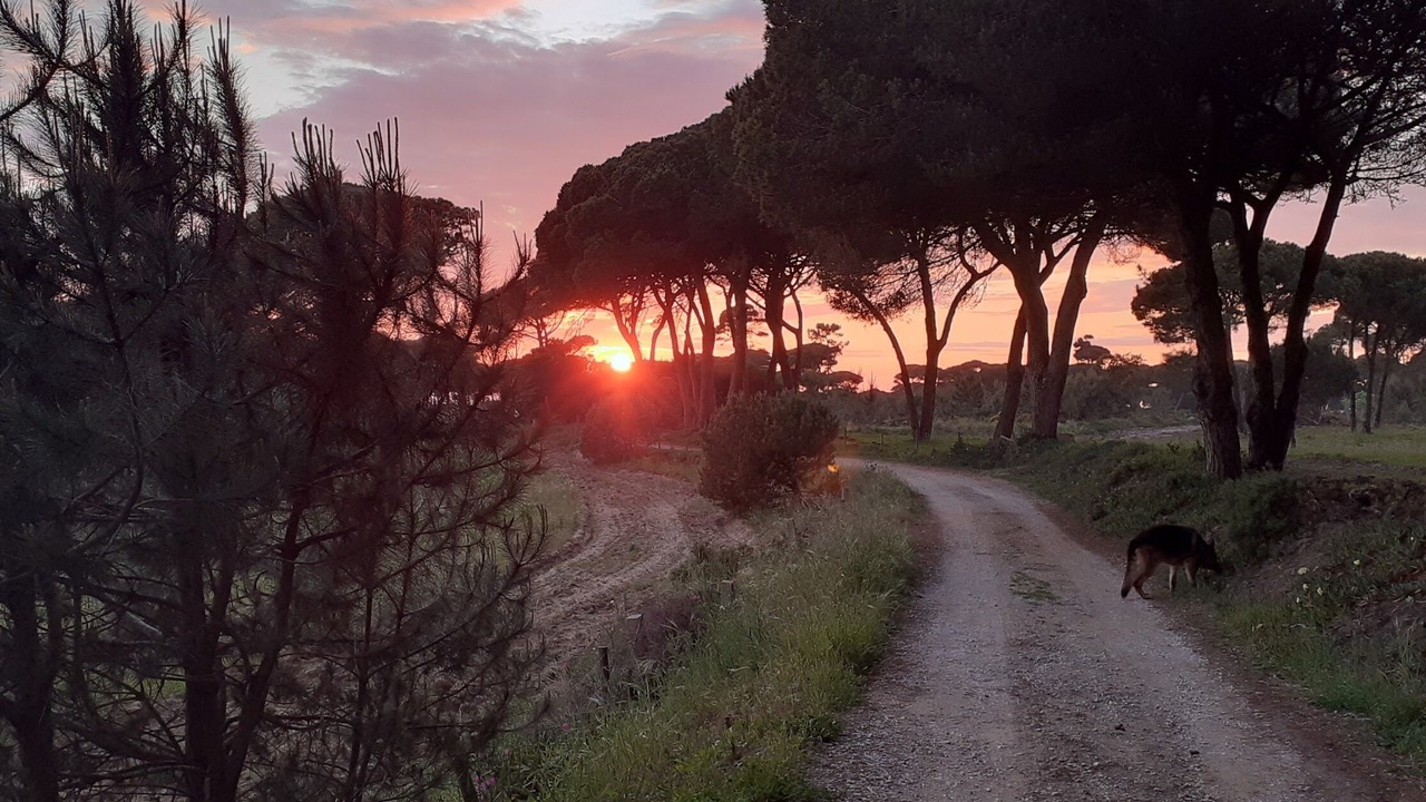 Photo of Outdoor in Meco