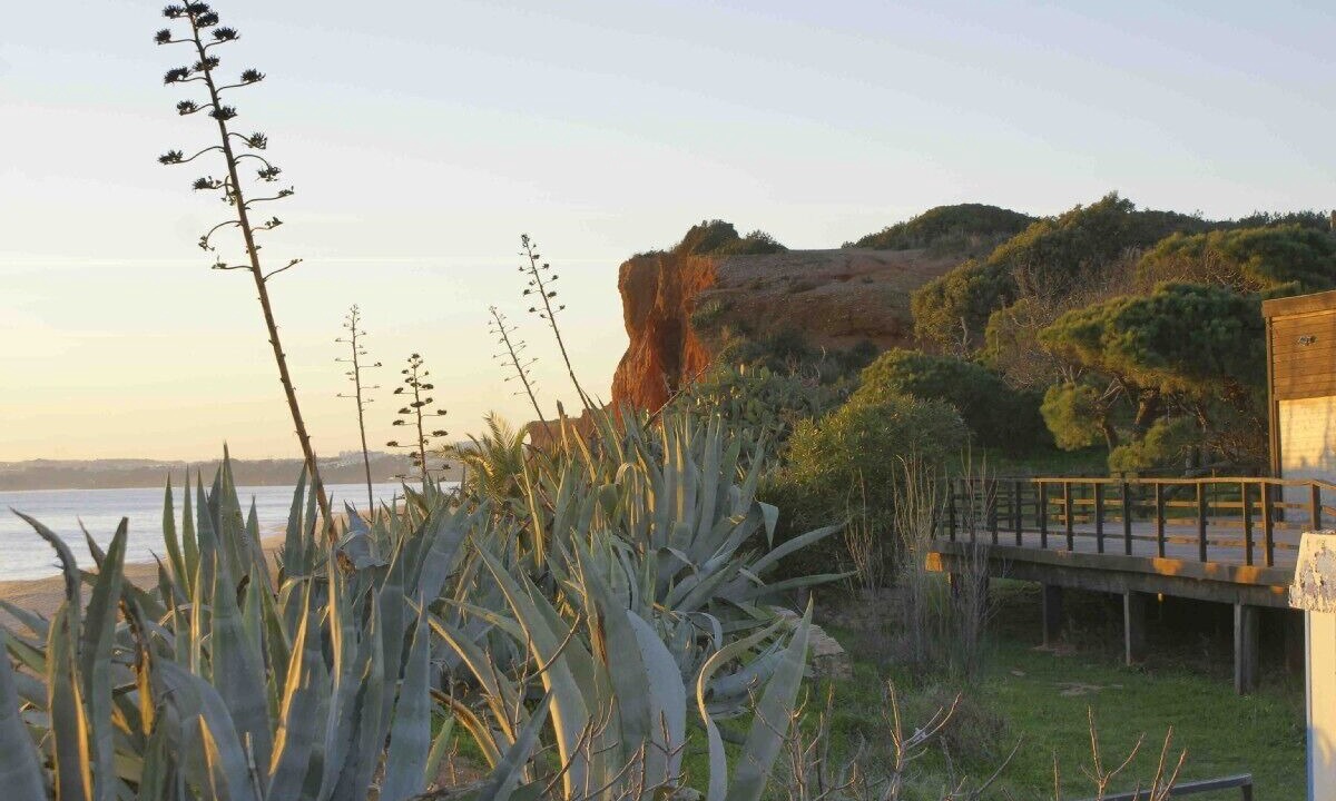 Photo of Others in Aldeia das Acoteias